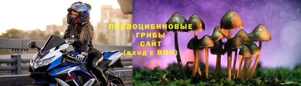 твердый Алексеевка