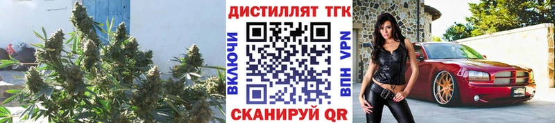 мега ТОР  Апрелевка  ТГК гашишное масло 