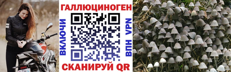 Псилоцибиновые грибы MAGIC MUSHROOMS  площадка какой сайт  Апрелевка  hydra зеркало 